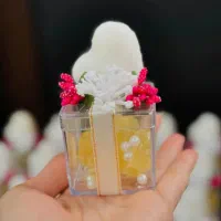 گیفت شاخه نبات عروس هدیه عقد سینی حنا نامزدی