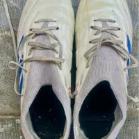 کفش ادیداس استوک دار