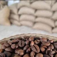 استخدام نیروی کار ساده