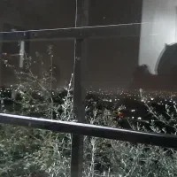 مغازه-تجاری-47-متر-بر-میثم