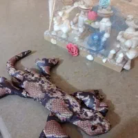 مجسمه ها ی زیبا|مجسمه، تندیس، ماکت|شیراز, صاحب الزمان|دیوار