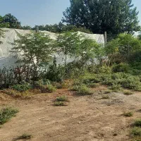 فروش-یا-تعویض-با-خودرو