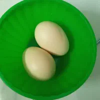 تخم مرغ جاپینز