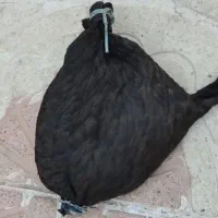 خیگ روغنی|ظروف نگهدارنده، پلاستیکی، یک‌بارمصرف|یاسوج, |دیوار