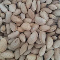 خریدار بادام و مغز بادام
