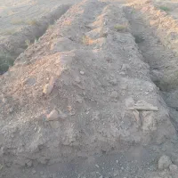 زمین مسکونی