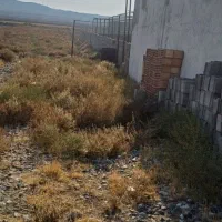 زمین کشاورزی در جاده چشمه