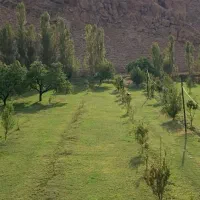 باغ ۱۰۰۰ متری پشت میدان ورودی شهر|فروش زمین و ملک کلنگی|ماکو, |دیوار