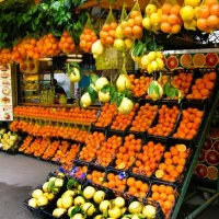 همکار نیمه وقت