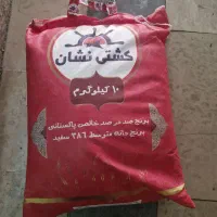 برنج پاکستانی