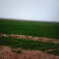 فروش زمین کساورزی