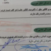 ۲۰۶تیپ۲ مدل۹۹|خودرو سواری و وانت|بم, |دیوار