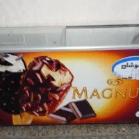 فریزر بستنی ۶۰۰ لیتری|یخچال و فریزر|شیراز, دارالرحمه|دیوار
