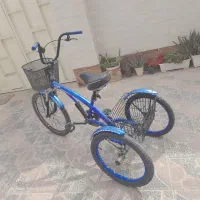 سه چرخه بزرگسال