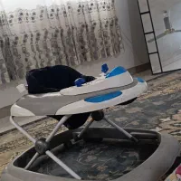 روروئک سالم تاشو