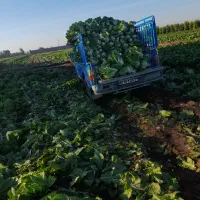 حرکت نیسان از ایذه به دزفول