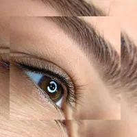 آرایش دائم صورت.فیبروز شیدینگ|خدمات آرایشگری و زیبایی|شیراز, نصر|دیوار