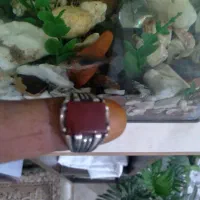 دو تا انگشتر نقره با سنگ یمنی|جواهرات|شاهرود, |دیوار