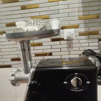 چرخ گوشت گاسونیک