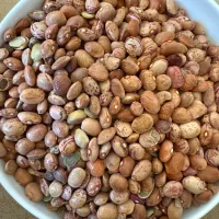 لوبیا چیتی آشی