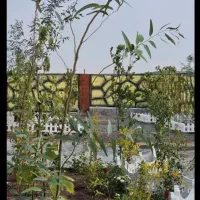 باغچه ۲۱۵ متر.سند دار .چار دیواری شده|فروش زمین و ملک کلنگی|رباطکریم, رباطکریم|دیوار