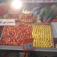 چند عدد طبق میوه فروشی وآیینه|فروشگاه و مغازه|بروجرد, |دیوار