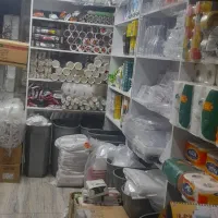 یک فروشنده خانم