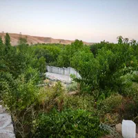 اجاره باغ