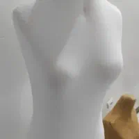 مانکن لباس سالم