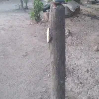 ۳عدد پایه بتنی همراه چراغ