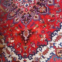 فرش درحدنو دستباف|فرش|تبریز, |دیوار