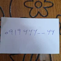 خط ۹۱۹ طلایی با ۶ رقم تکراری