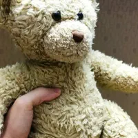 عروسک خرسی (Teddy)|اسباببازی بچه|مشهد, کلاهدوز|دیوار