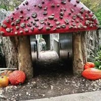 راهنمایی آشپزی