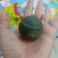 شهاب سنگ|جواهرات|جیرفت, |دیوار