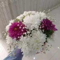 بادکنک ارایی،گل ارایی بالونک|خدمات پذیرایی، مراسم|یزد, |دیوار