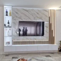 اجرای انواع تی وی وال