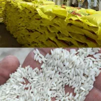 برنج عنبربو درجه یک معطر امسالی سبز و سفید|خوردنی و آشامیدنی|اهواز, بنکداری|دیوار