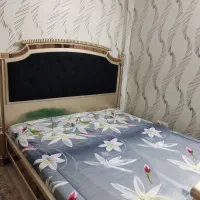 کتاب .تخت|حراج|شیراز, شهرک فرزانگان|دیوار