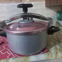 زودپز وپلوپز