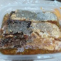 عسل طبیعی|خوردنی و آشامیدنی|کلاترزان, |دیوار