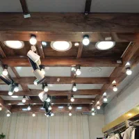 پنل چوبی سقف چراغ دار لاکچری|فروشگاه و مغازه|سبزوار, ابوریحان|دیوار
