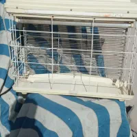 حشره کش برقی شاهین پر