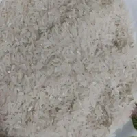 برنج فجرسوزنی کشت دوم خوش وعطروطعم