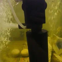 پمپ اب و پمپ اکسیژن آکواریوم هردوتاشون|ماهی|زاهدان, |دیوار