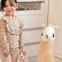 لباس. چادر. جانمازی و کش و انواع گیره های مو