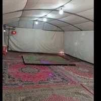 کرایه چادر عروسی