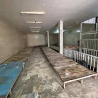 فرصت استثنائی  اجاره انبار کاملاً حرفهای|اجارهٔ دفتر صنعتی، کشاورزی، تجاری|دماوند, گیلاوند|دیوار