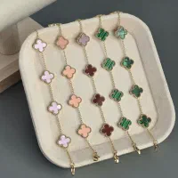 بدلیجات رنگ‌ثابت