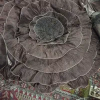 روتختی